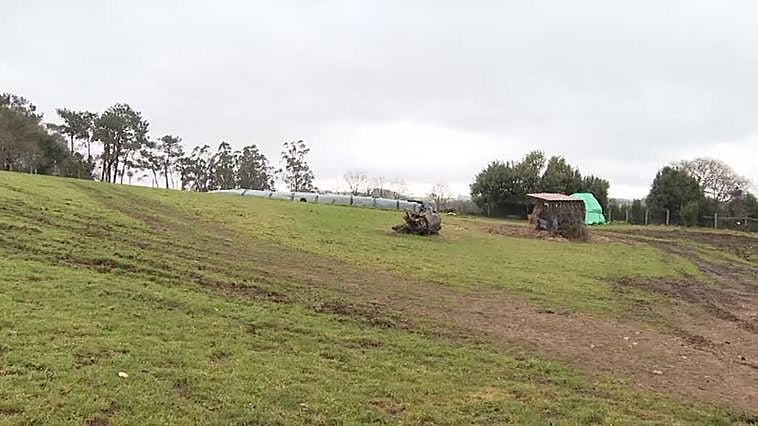 La aldea de Lugo en la que hay más cigüeñas que vecinos