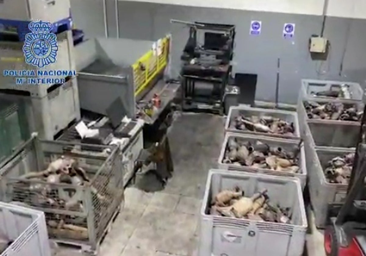 Vídeo de la Operación Eleanor distribuido por la Policía Nacional