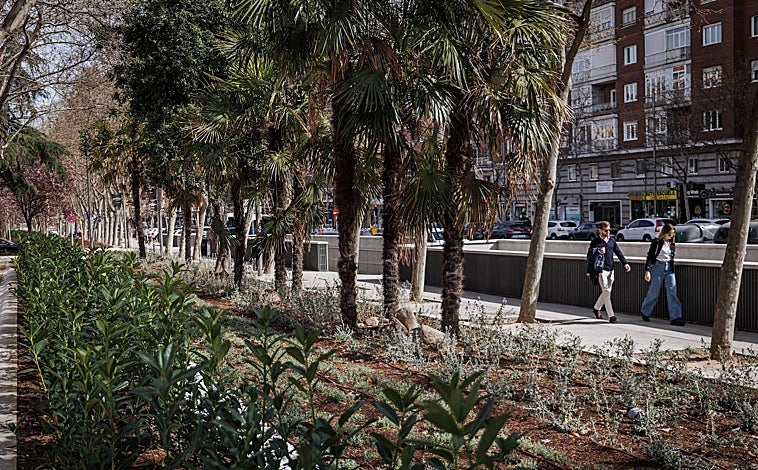 Imagen principal - Arriba, los espacios verdes han crecido y se han plantado 300 árboles. Abajo, izq., carril-bici segregado y bidireccional. Derecha, zona de juegos infantiles