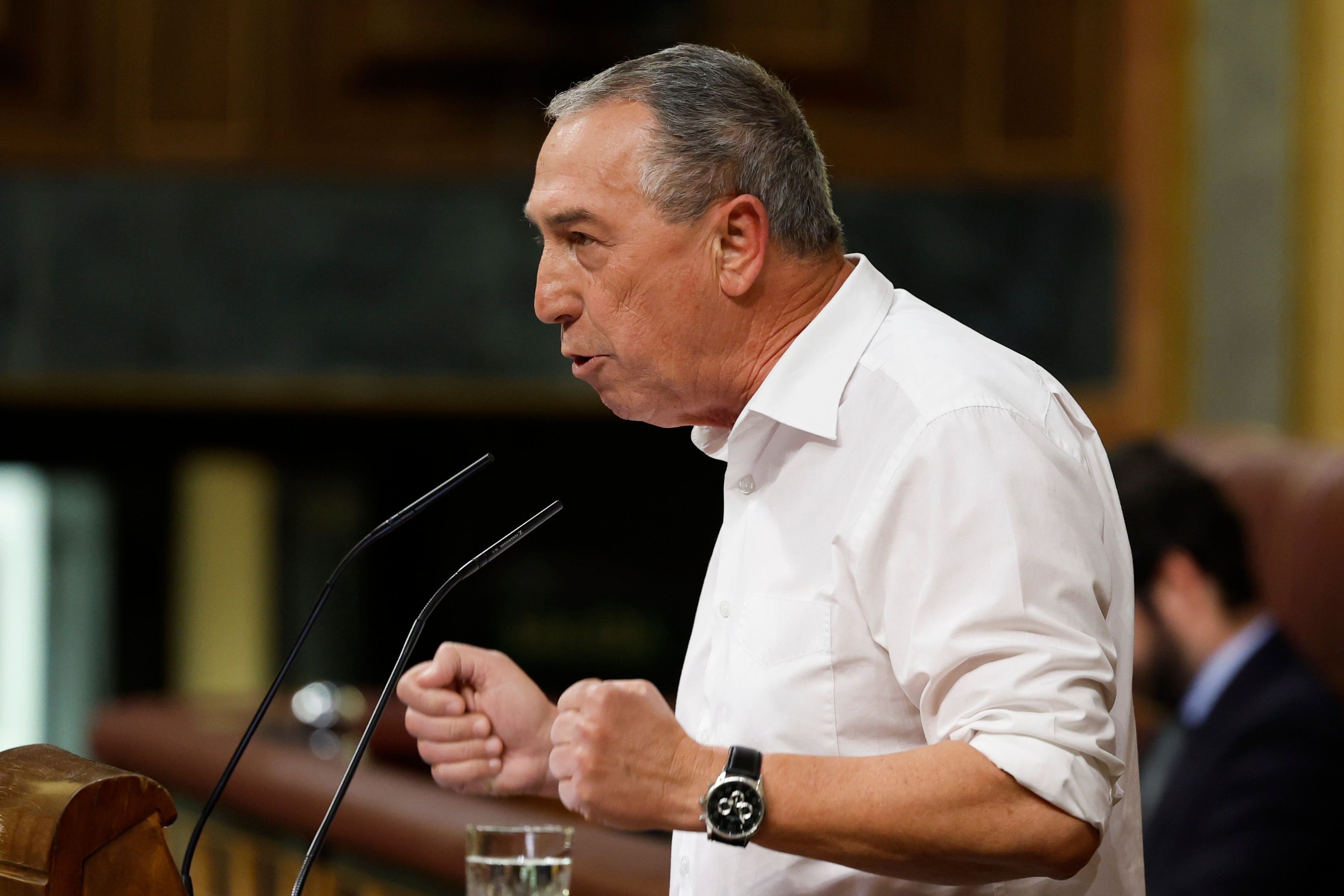 El portavoz de Compromís en el Congreso, Joan Baldoví, durante el debate de la moción de censura de VOX contra el presidente del Gobierno Pedro Sánchez