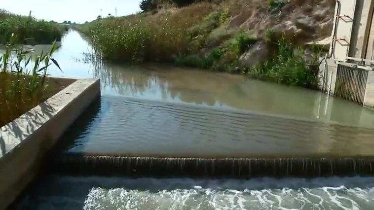 El Mar Menor sigue crítico