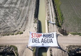El Gobierno destaca que Bruselas le da la razón sobre la protección que necesita Doñana