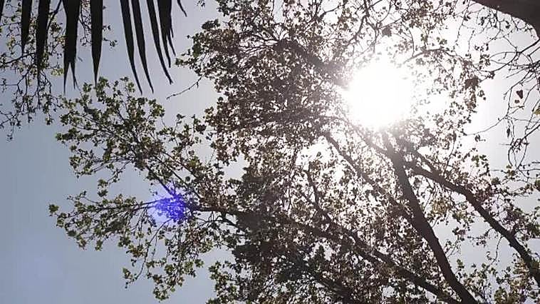 Los alergólogos advierten de cada vez hay más alergias respiratorias y a alimentos en niños