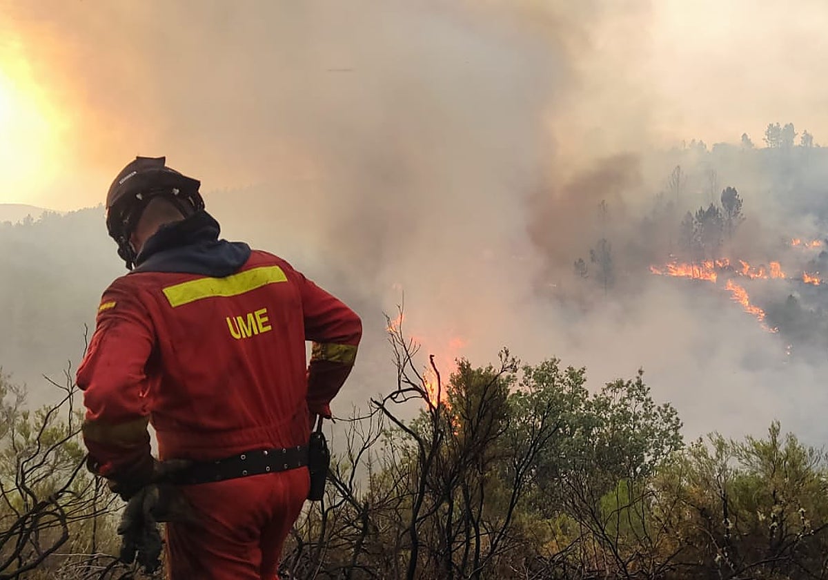 Un efectivo de la UME en una zona boscosa afectada por el incendio.