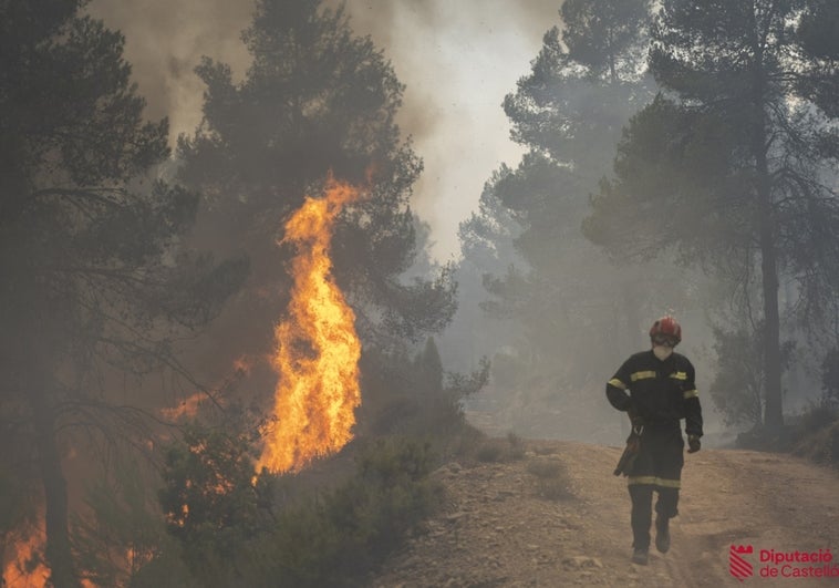 Últimas noticias de hoy sábado, 25 de marzo del 2023.