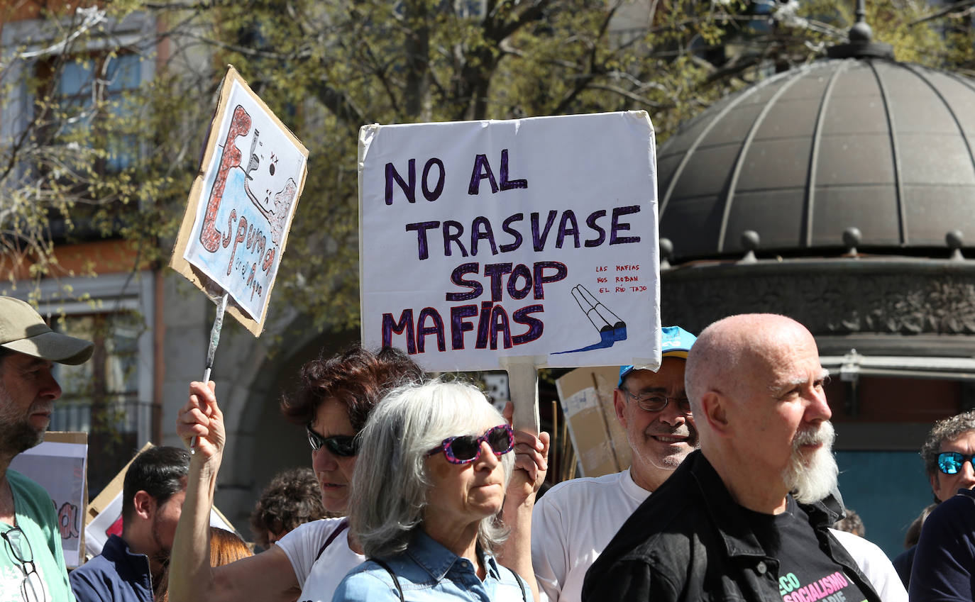 El éxito de la manifestación de Toledo en defensa del Tajo, en imágenes