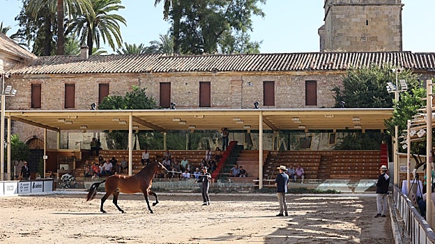 Patio principal de Caballerizas Reales