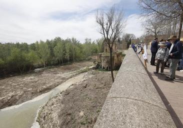 La rehabilitación de la Noria de la Albolafia de Córdoba vuelve de nuevo por elecciones