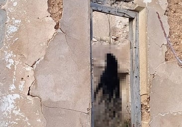 Nueve meses de prisión por ahorcar a su perro en un pueblo de Jaén