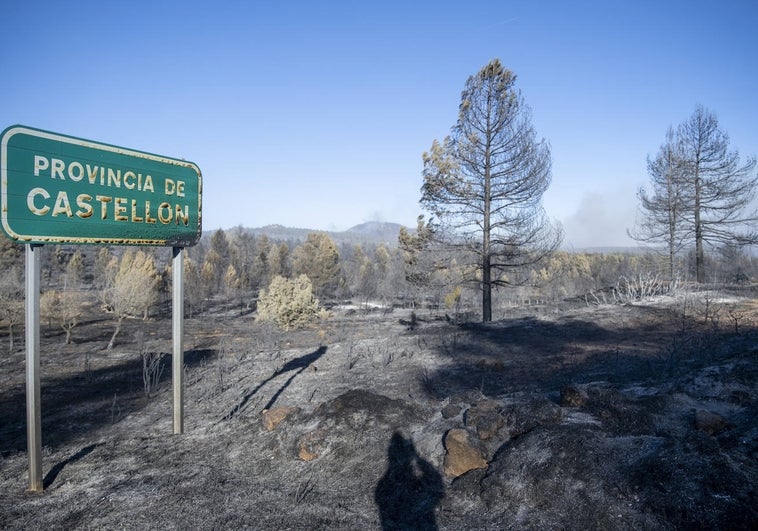 Más de cincuenta kilómetros en llamas y 4.600 hectáreas arrasadas: el humo del incendio de Castellón llega a Valencia