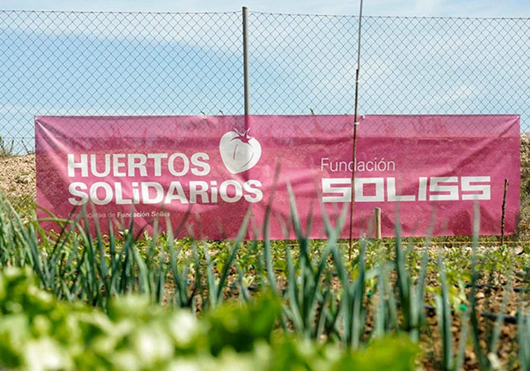 Los huertos solidarios de la Fundación Soliss han alimentado a cerca de 70.000 personas vulnerables
