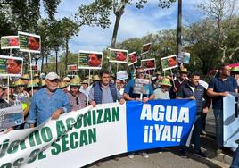 Más de 500 agricultores de Córdoba se concentran en Sevilla para pedir el adelanto de la campaña de riego