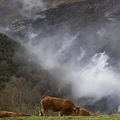 Investigan a un vecino de Lugo de 78 años como presunto autor del incendio de Baleira