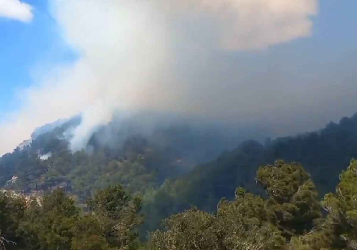 Columnas de humo en la sierra de Pàndols