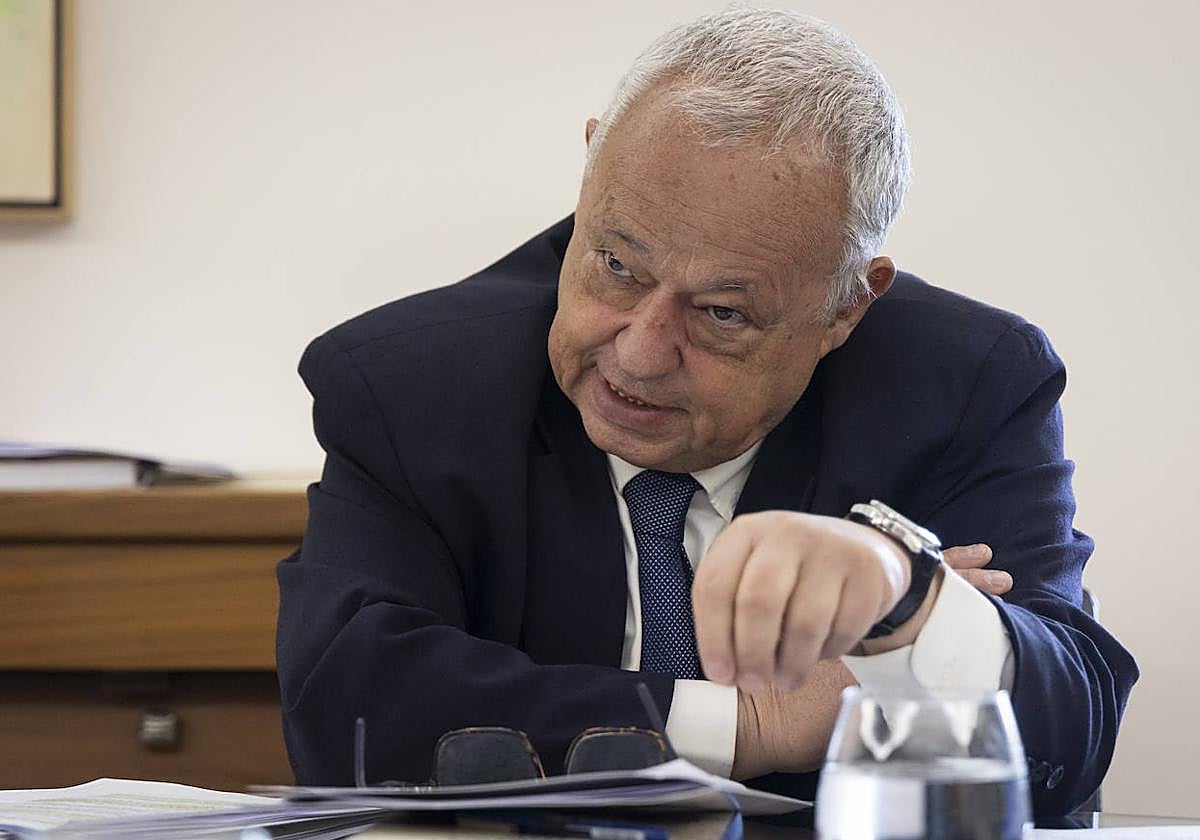 El consejero de Cultura, Turismo y Deporte de Castilla y León, Gonzalo Santonja