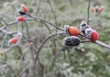 El tiempo en Semana Santa: 'días de cebolla' con grandes cambios de temperatura entre día y noche