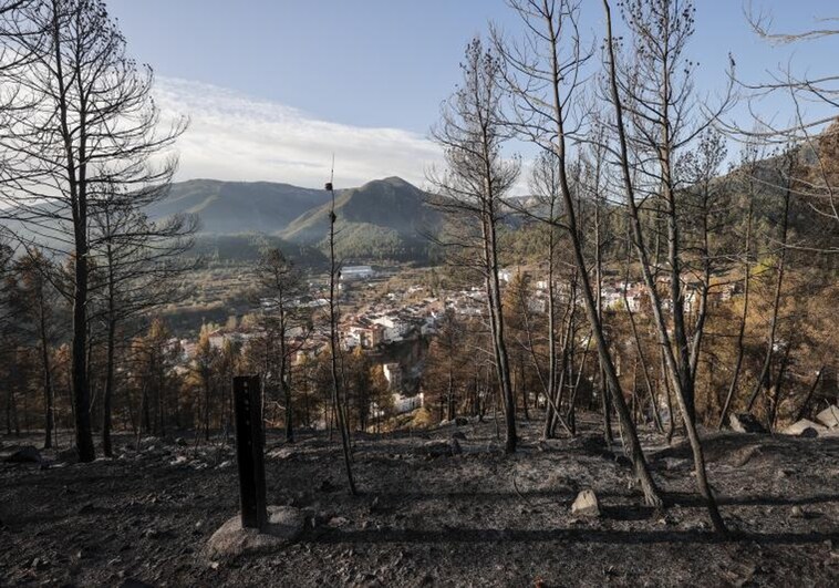 Movilizan medios aéreos ante reproducciones registradas en el incendio forestal de Castellón