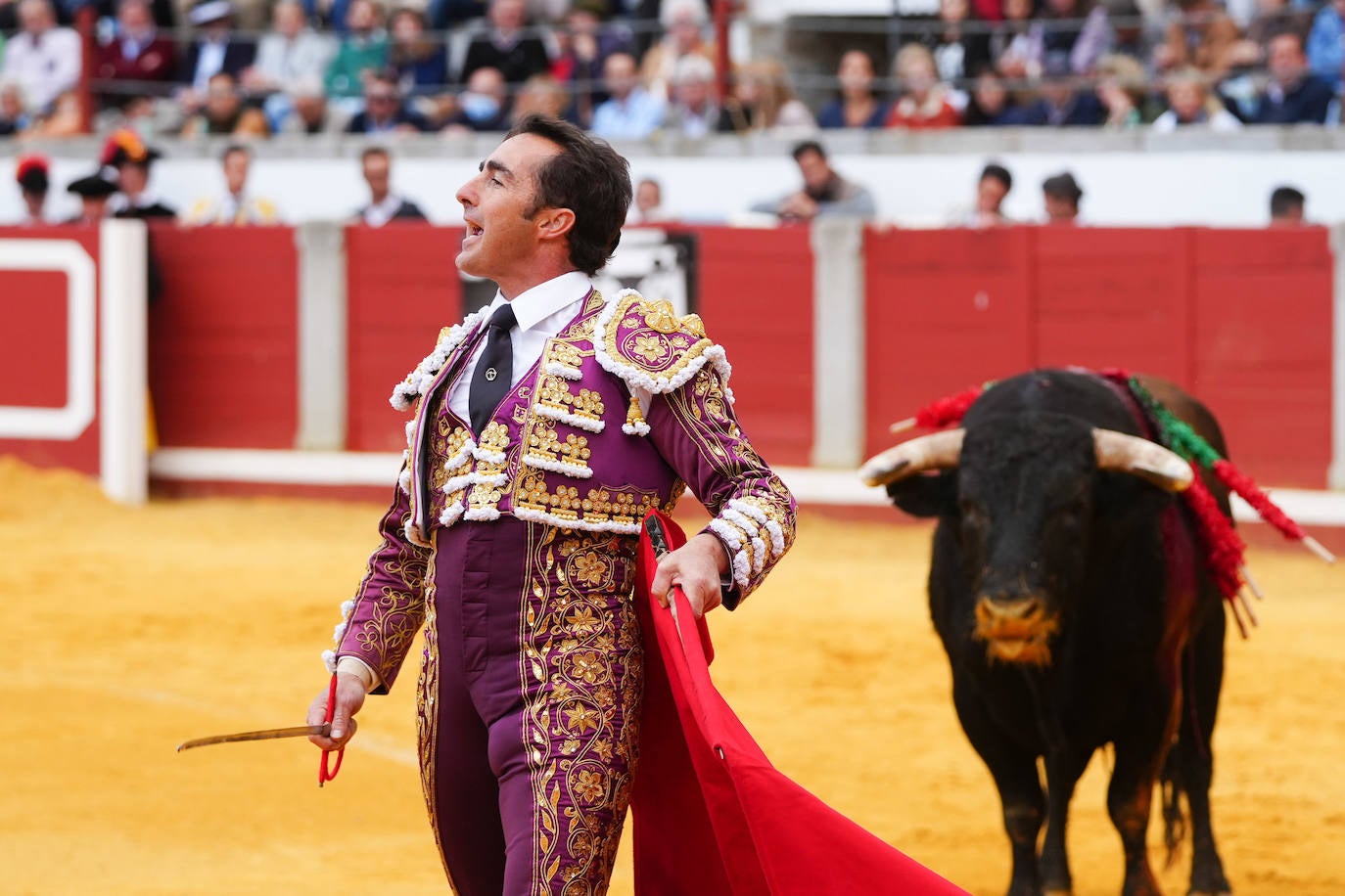 Toros | Las mejores imágenes del nuevo triunfo de Román en Pozoblanco