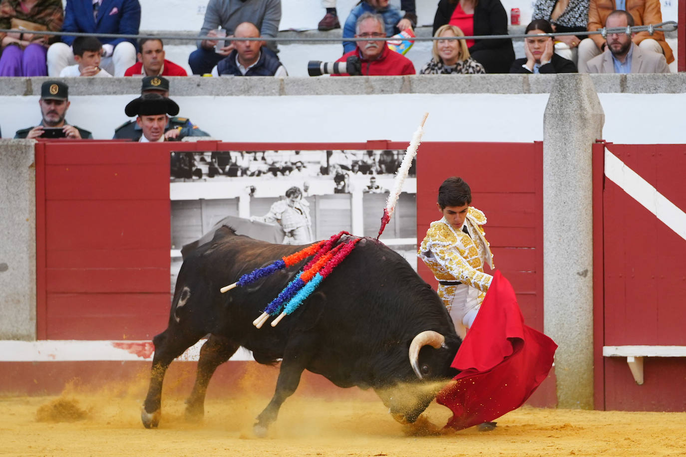 Toros | Las mejores imágenes del nuevo triunfo de Román en Pozoblanco