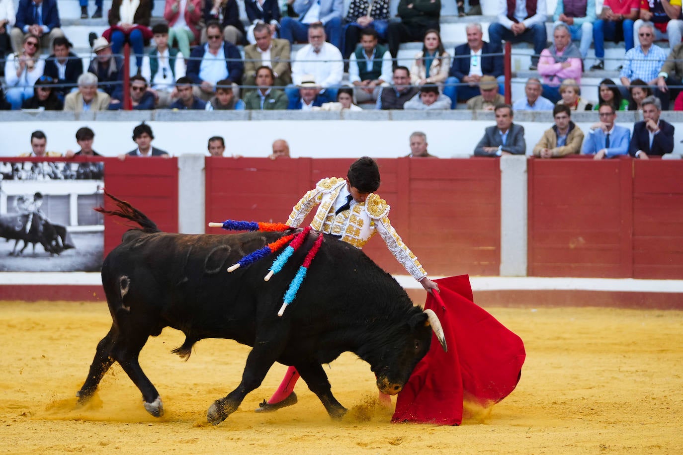 Toros | Las mejores imágenes del nuevo triunfo de Román en Pozoblanco