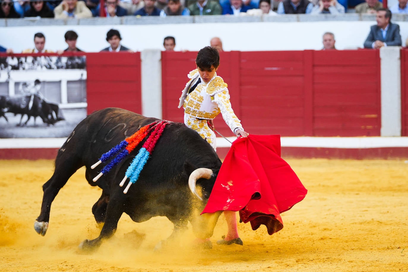 Toros | Las mejores imágenes del nuevo triunfo de Román en Pozoblanco