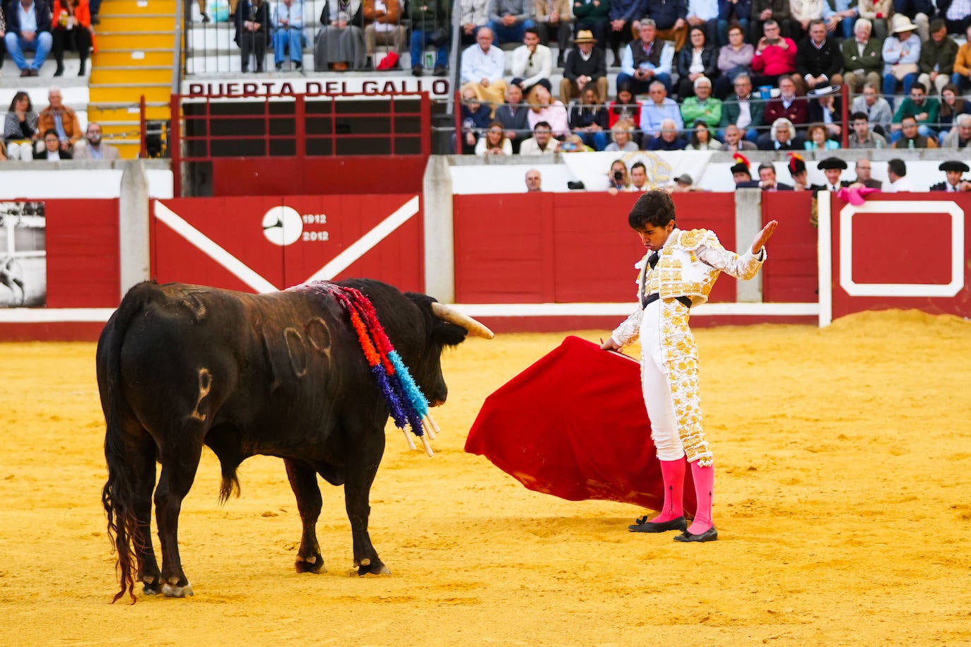 Toros | Las mejores imágenes del nuevo triunfo de Román en Pozoblanco