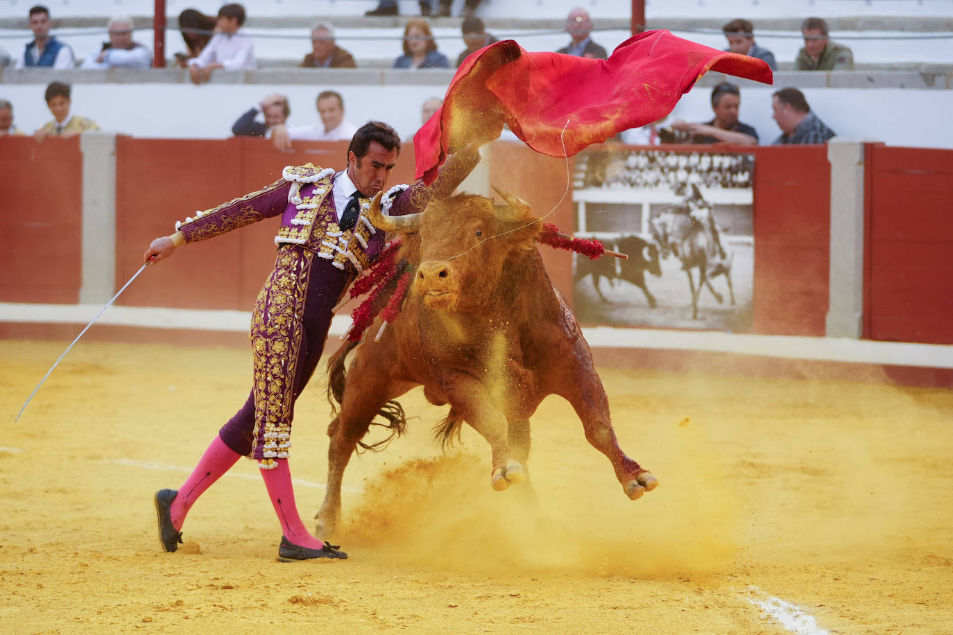 Toros | Las mejores imágenes del nuevo triunfo de Román en Pozoblanco