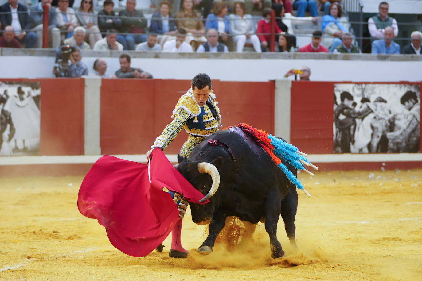 Toros | Las mejores imágenes del nuevo triunfo de Román en Pozoblanco