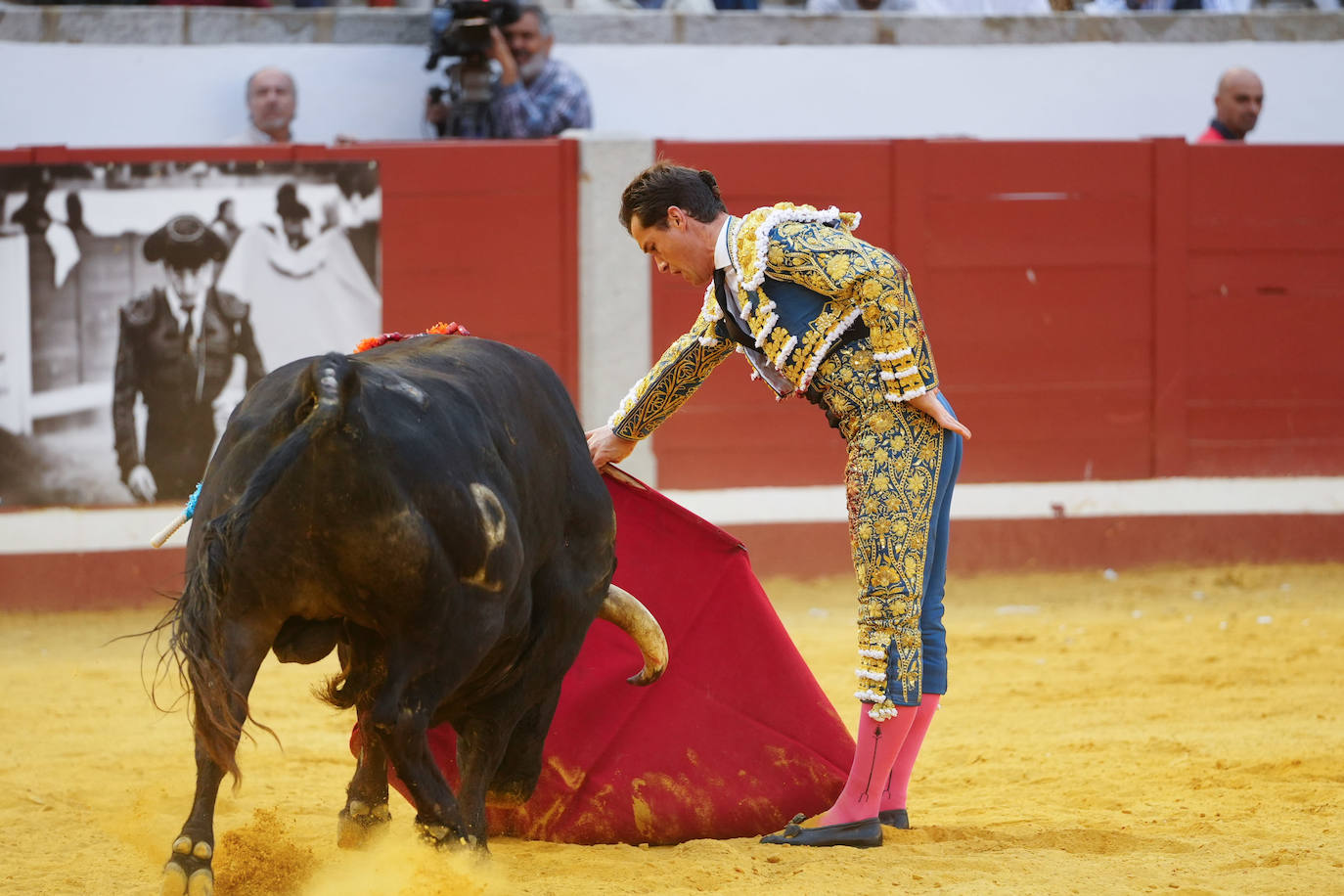 Toros | Las mejores imágenes del nuevo triunfo de Román en Pozoblanco