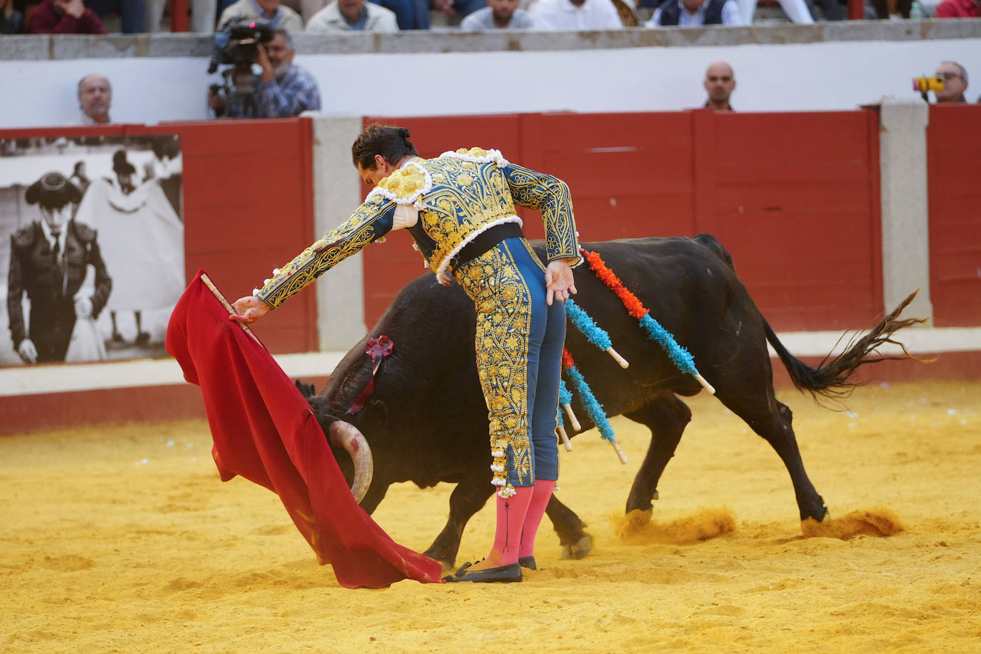 Toros | Las mejores imágenes del nuevo triunfo de Román en Pozoblanco