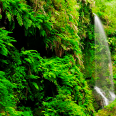 Las islas Canarias dejarán de ser verdes en 50 años