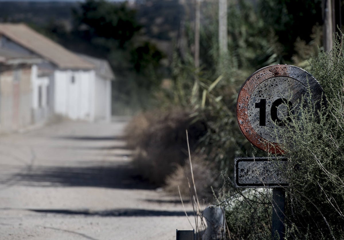 Camino rural en la Comunidad de Madrid