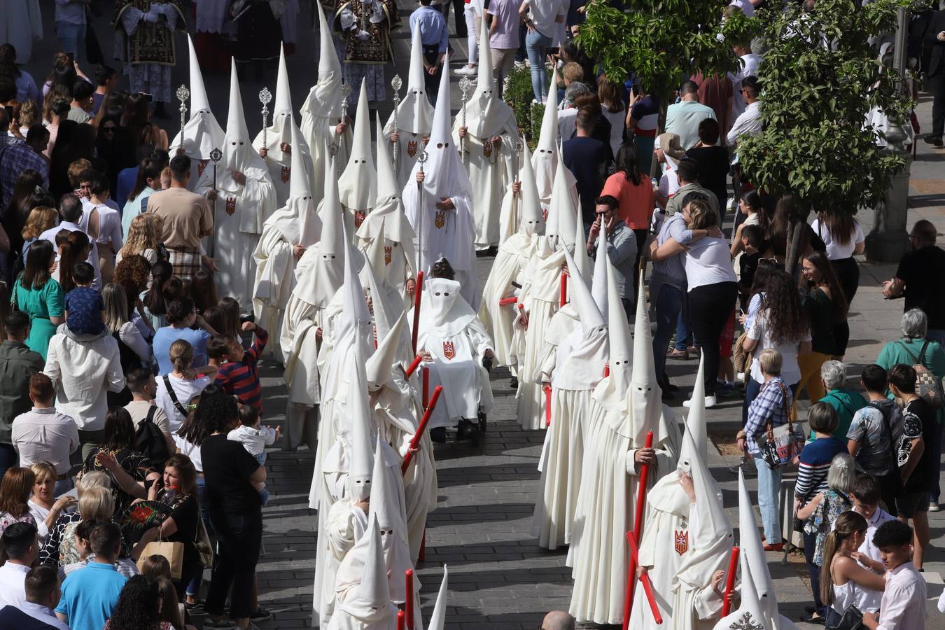 Fotos |Lunes Santo: la luminosa hermandad de la Merced, en imágenes