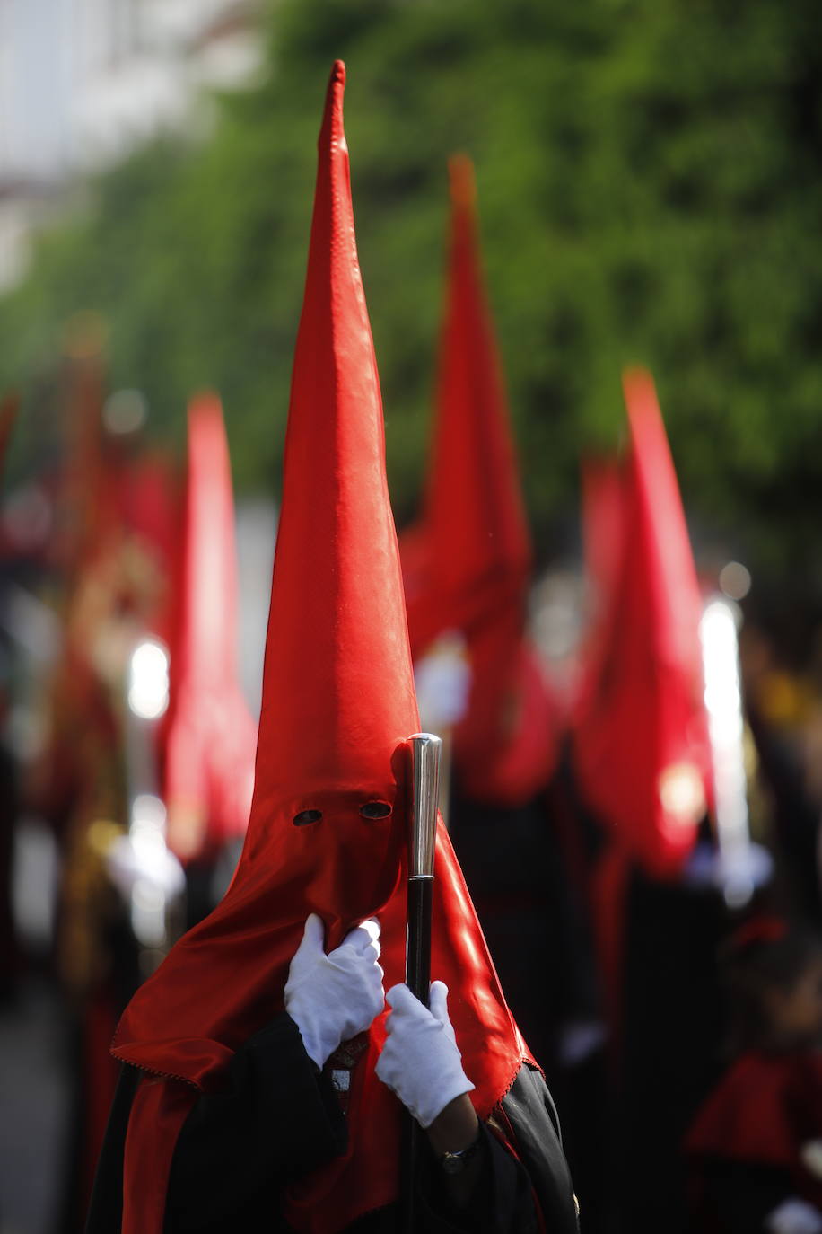 La identidad estética de la Caridad en su estación de penitencia, en imágenes