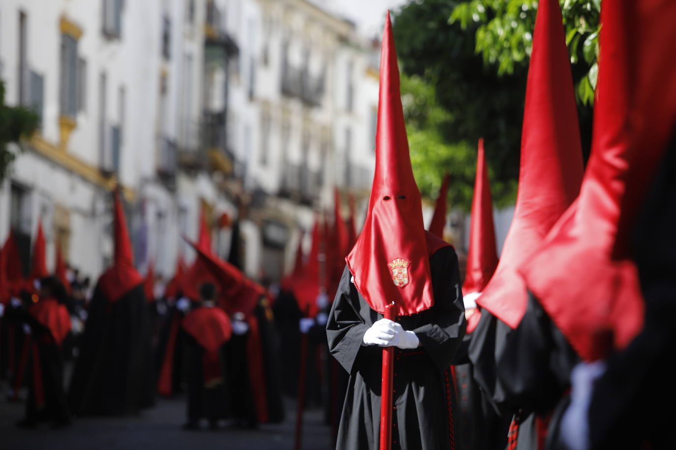 La identidad estética de la Caridad en su estación de penitencia, en imágenes