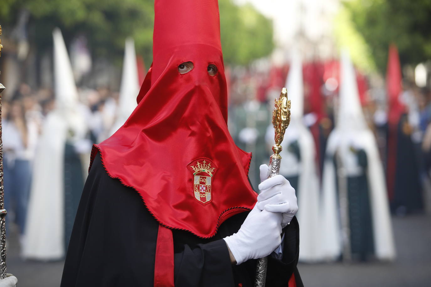 La identidad estética de la Caridad en su estación de penitencia, en imágenes