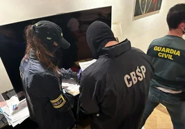 Detenidos en Málaga varios miembros de una red de tráfico de cocaína de Sudamérica a Europa