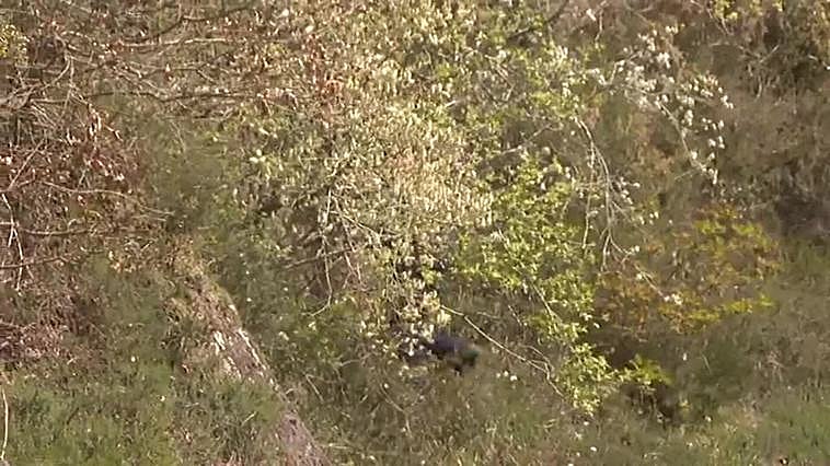 Bomberos de Navarra logran controlar un incendio en el valle de Baztan