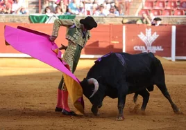 Toros en Córdoba | Abonos y entradas, horarios de taquilla y precios