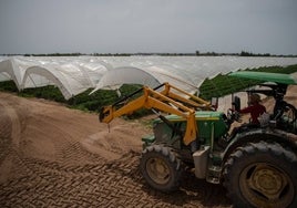 Claves para entender la guerra política por el futuro de Doñana