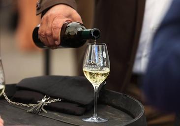Cata de Vino de Córdoba 2023 | Guía con fechas, horarios, precios, dónde comprar las entradas y actividades