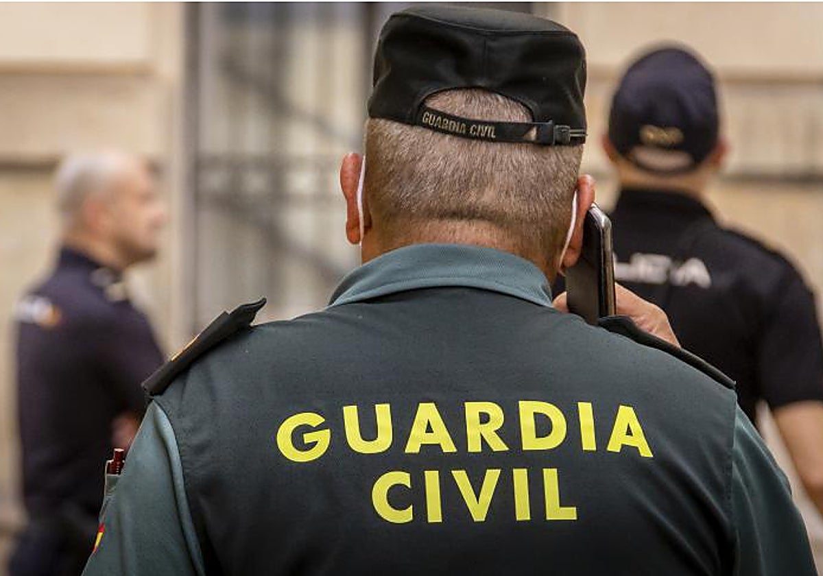 Efectivos de la Guardia Civil y la Policía Nacional, en imagen de archivo