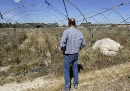 El Gobierno descartó en 2021 grandes obras para resolver la falta de agua en Doñana por su alto coste
