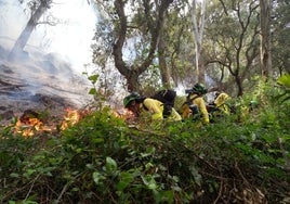 Extinguido después de 12 días de intenso trabajo el incendio forestal de Tarifa