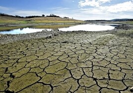 Sequía «dramática» en Andalucía: la Junta prevé que se extiendan los cortes de agua este verano en el interior