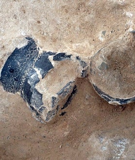 Imagen secundaria 2 - Hachas pulimentadas prehistóricas; restos óseos de animales de la época visigoda, y ajuar de enterramiento