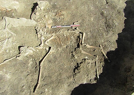 Imagen secundaria 1 - Hachas pulimentadas prehistóricas; restos óseos de animales de la época visigoda, y ajuar de enterramiento