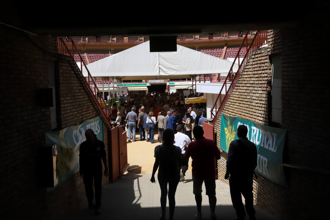El radiante arranque de la Cata del Vino de Córdoba, en imágenes