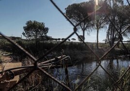 'Salvemos Doñana' convoca una protesta en Sevilla contra la regulación de los regadíos del Condado