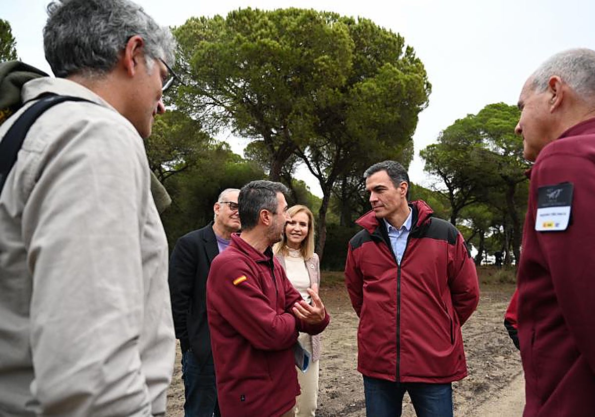 El presidente del Gobierno, Pedro Sánchez (c) durante su visita al Parque Nacional de Doñana, en diciembre